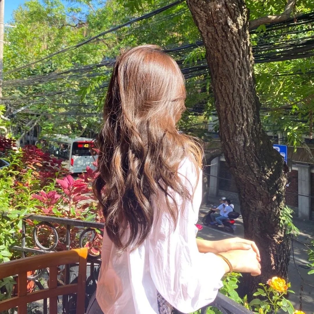 安蒂冈妮：为爱赴罪